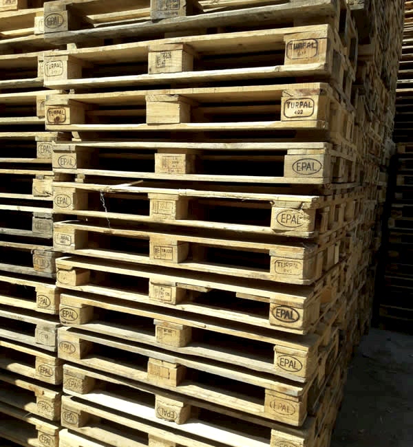 Ankara Palet Dünyası