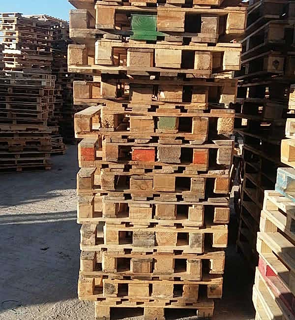 Ankara Palet Dünyası