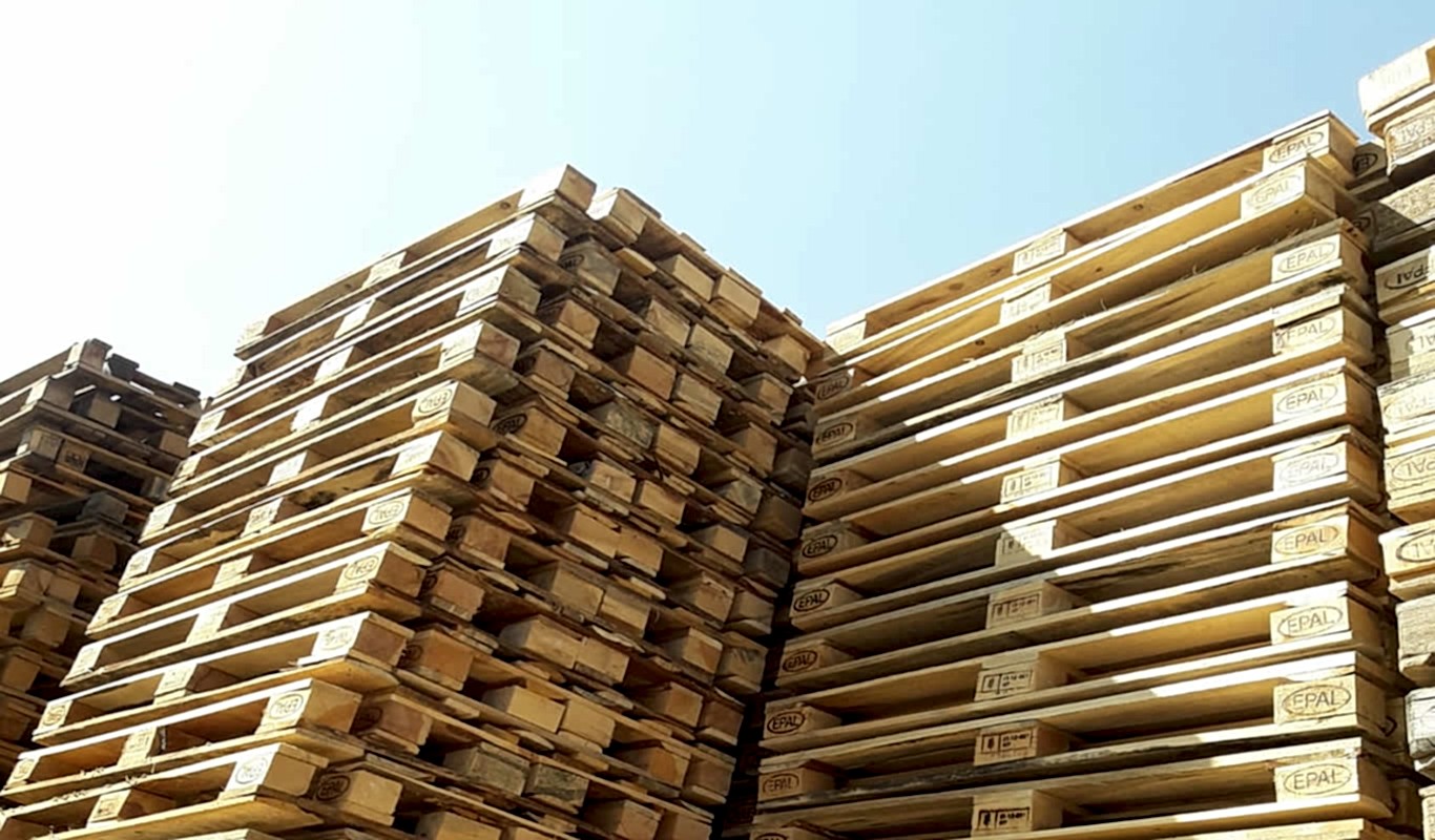 Ankara Palet Dünyası