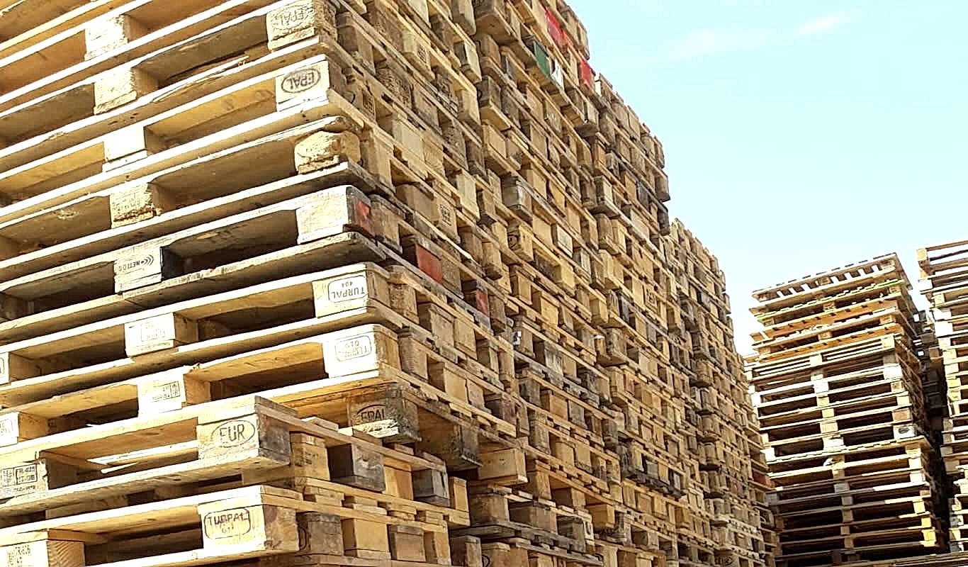 Ankara Palet Dünyası